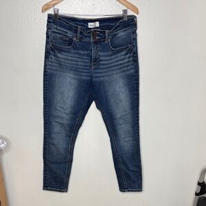 BKE Gabby High Rise Curvy Fit Ankle Skinny Jeans Women Size 29